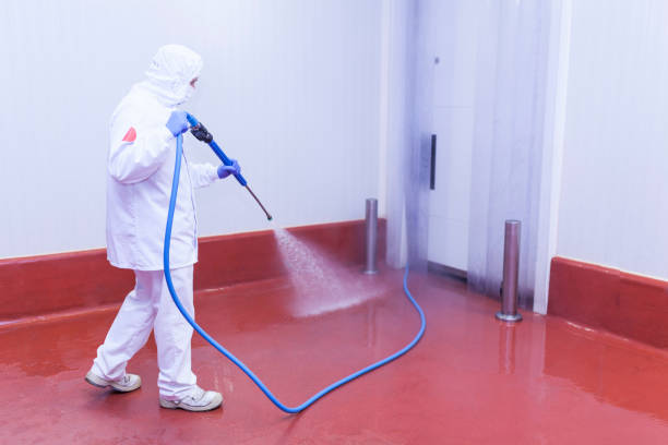  Fredonia, NY Pressure Washing Pros