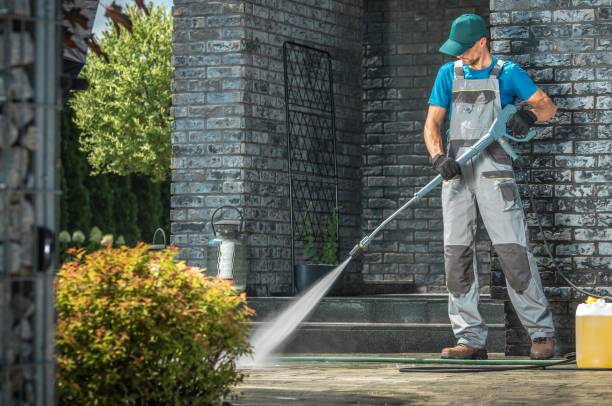 Best Solar Panel Cleaning  in Fredonia, NY
